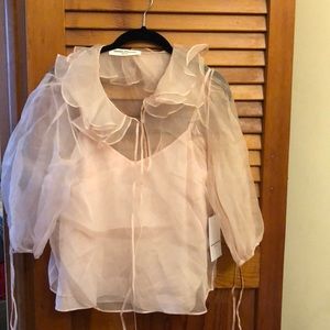 Cute Organza Top
